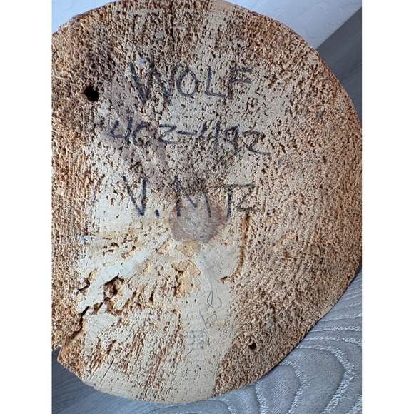 Native American Wolf Kachina Doll Hand Carved Signed - Picture 8 of 8